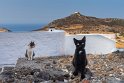 094 Patmos, Chora